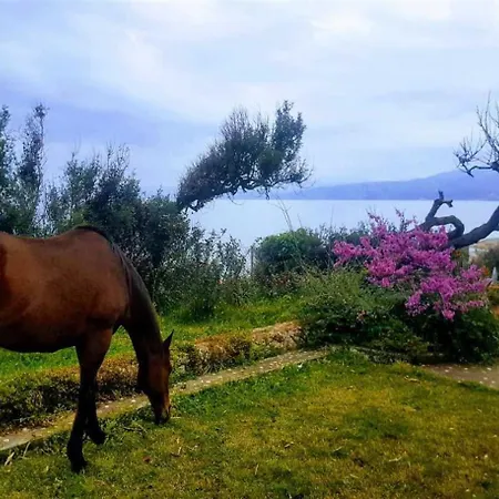 Panoraias Luxury Kyparissia